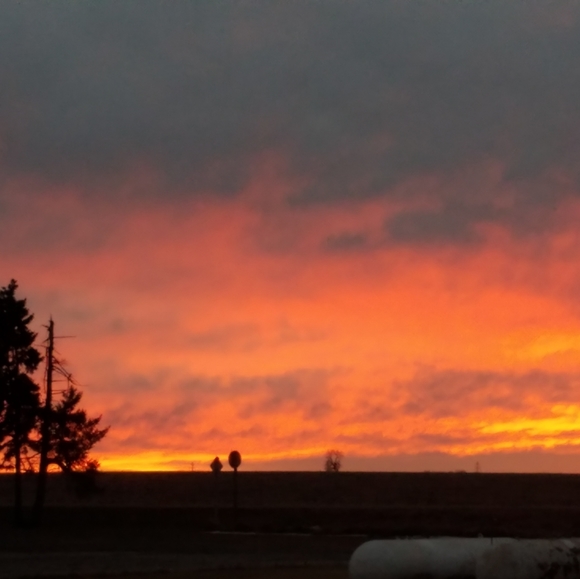 Meet your Posher, Jody - Picture 2 of 2